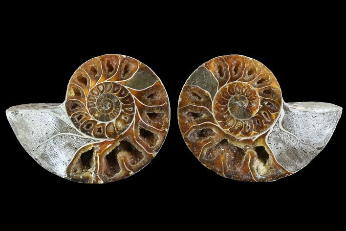 Cut & Polished Ammonite (Anapuzosia?) Pair - Madagascar #88021